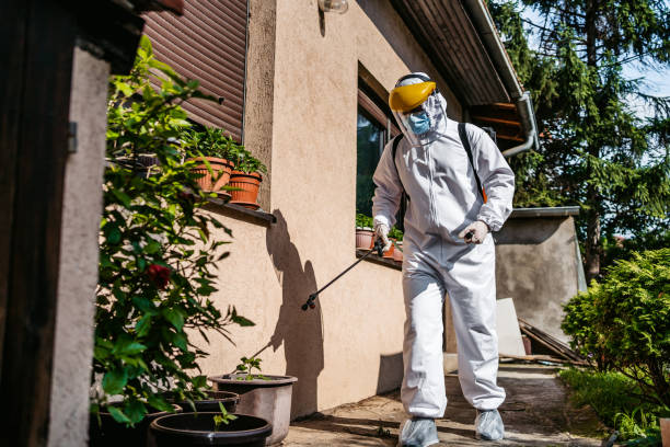 Best Best Pest Control Companies  in Tilton Northfield, NH