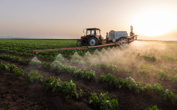 Pest Control Cost in Tilton Northfield, NH