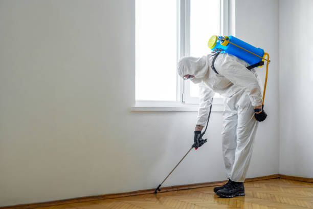 Best Best Pest Control Companies  in Tilton Northfield, NH