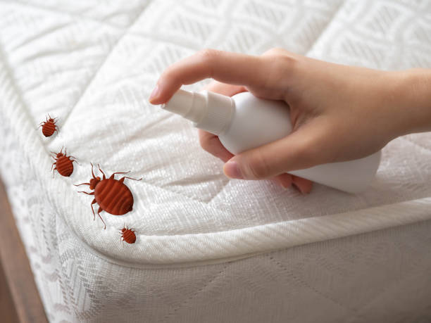 Best Flea Control Services  in Tilton Northfield, NH